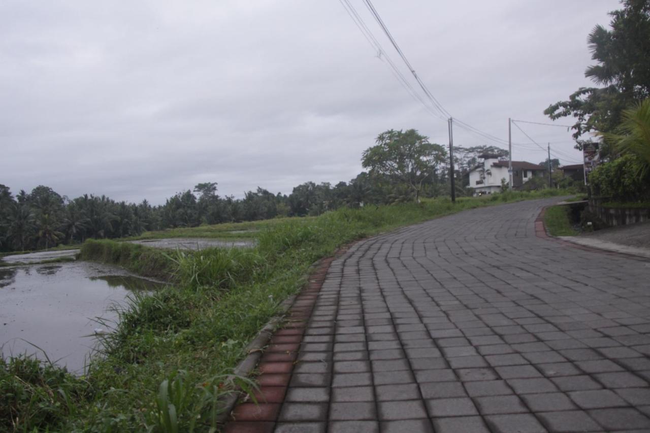 Tri Hita Karana House Hotel Mas  Phòng bức ảnh